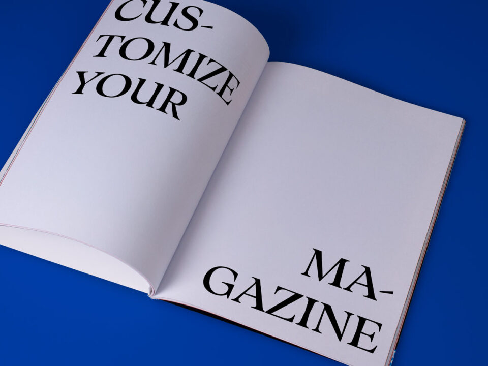 Revista