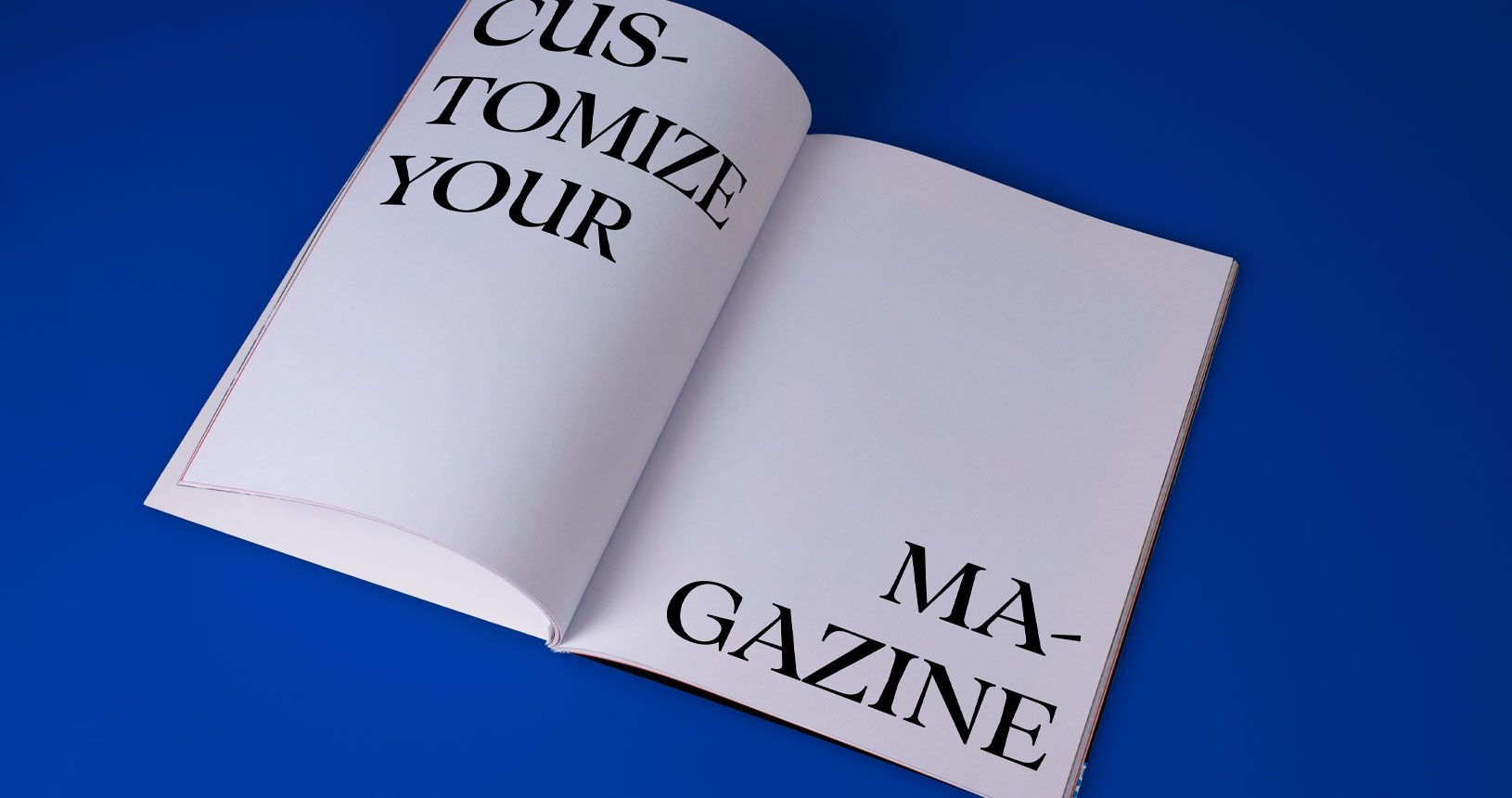 Revista
